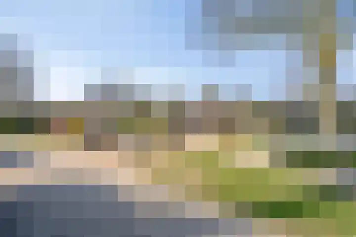 Kapelleboslaan 163 Noordwijk thumbnail 41