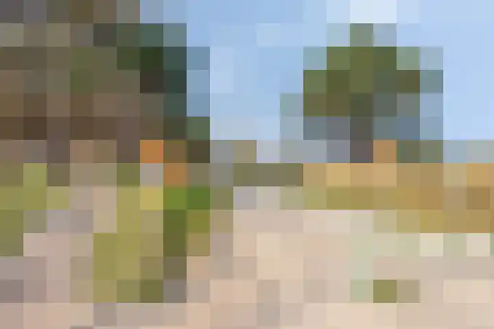 Kapelleboslaan 163 Noordwijk thumbnail 42