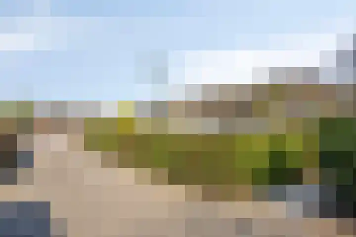 Kapelleboslaan 163 Noordwijk thumbnail 5