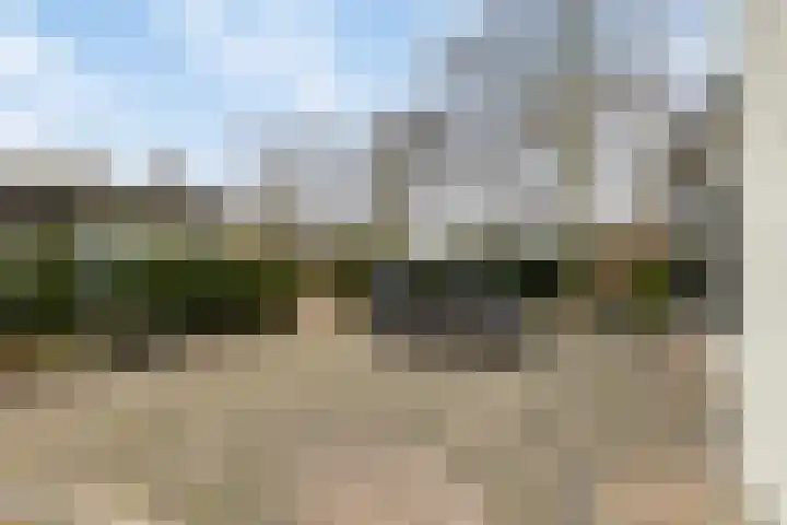 Kapelleboslaan 179 Noordwijk thumbnail 28