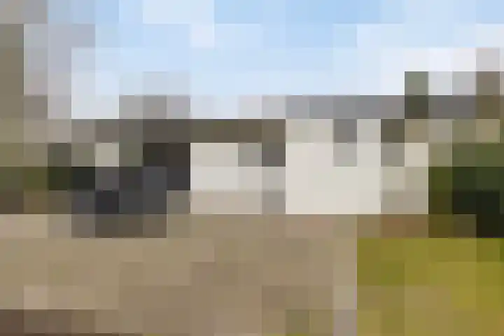 Kapelleboslaan 179 Noordwijk thumbnail 29
