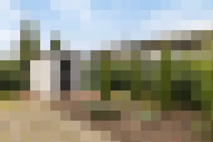 Kapelleboslaan 179 Noordwijk thumbnail 31