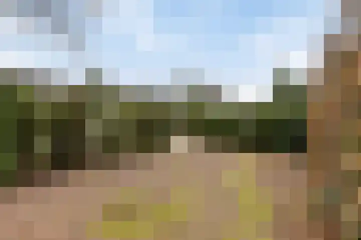 Kapelleboslaan 179 Noordwijk thumbnail 32