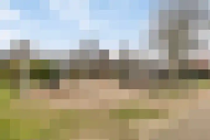 Kapelleboslaan 179 Noordwijk thumbnail 33