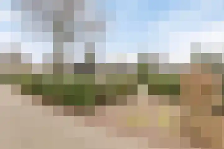 Kapelleboslaan 179 Noordwijk thumbnail 5