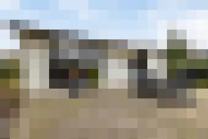 Kapelleboslaan 179 Noordwijk thumbnail 6