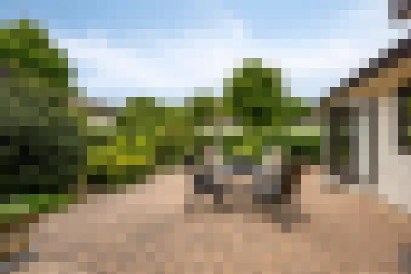 Kapelleboslaan 259 Noordwijk thumbnail 21