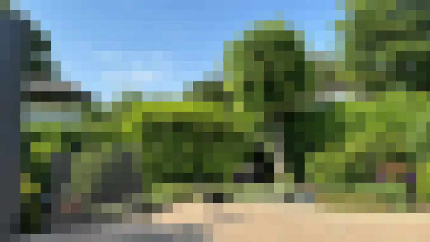 Kapelleboslaan 259 Noordwijk thumbnail 22