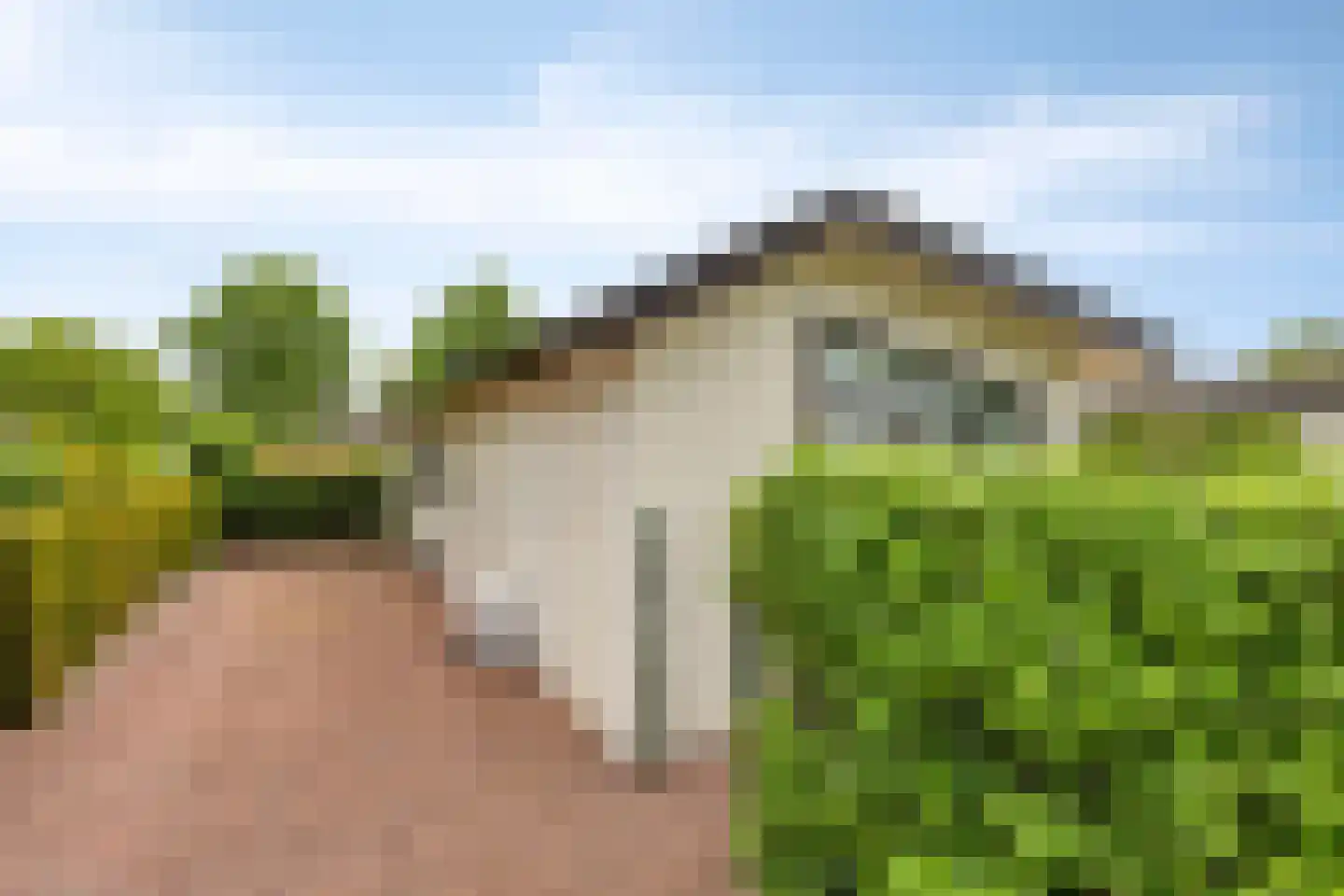 Kapelleboslaan 259 Noordwijk thumbnail 23