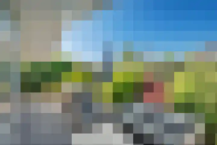 Kapelleboslaan 295 Noordwijk thumbnail 11