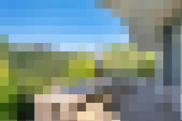 Kapelleboslaan 295 Noordwijk thumbnail 12