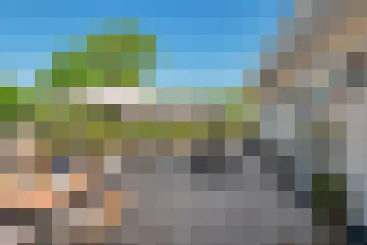 Kapelleboslaan 295 Noordwijk thumbnail 32