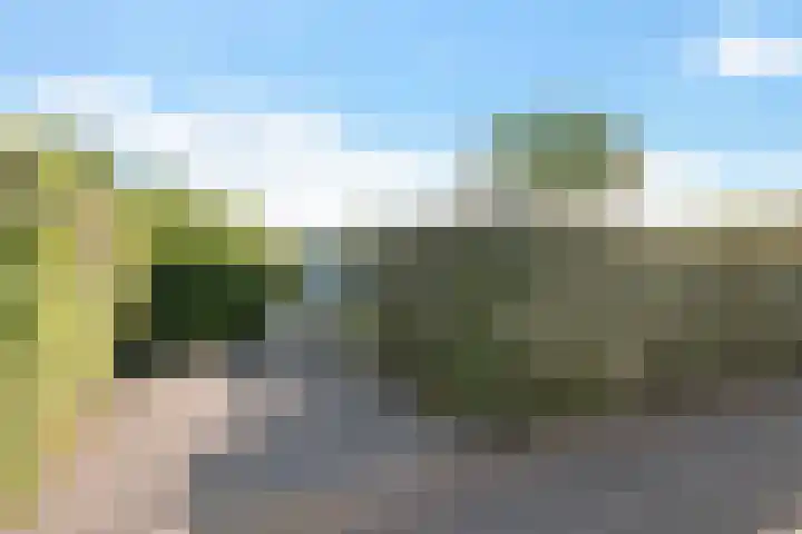 Kapelleboslaan 295 Noordwijk thumbnail 5