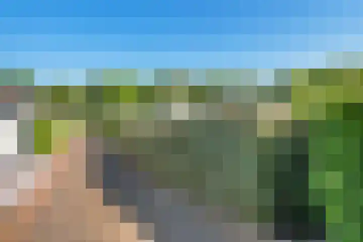 Kapelleboslaan 295 Noordwijk thumbnail 7