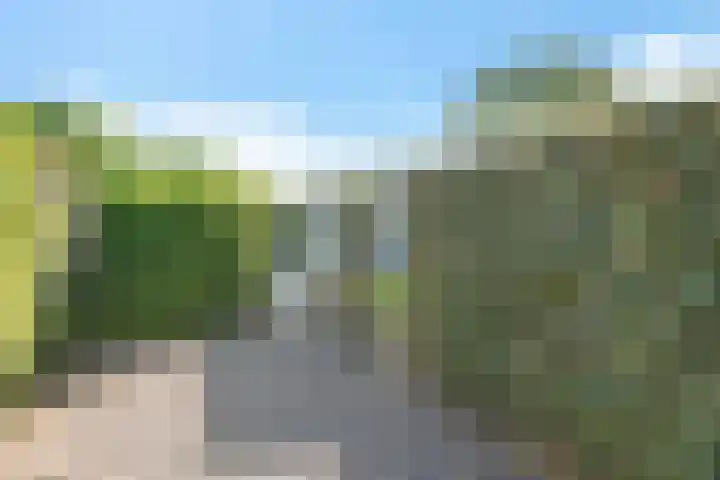 Kapelleboslaan 295 Noordwijk thumbnail 8