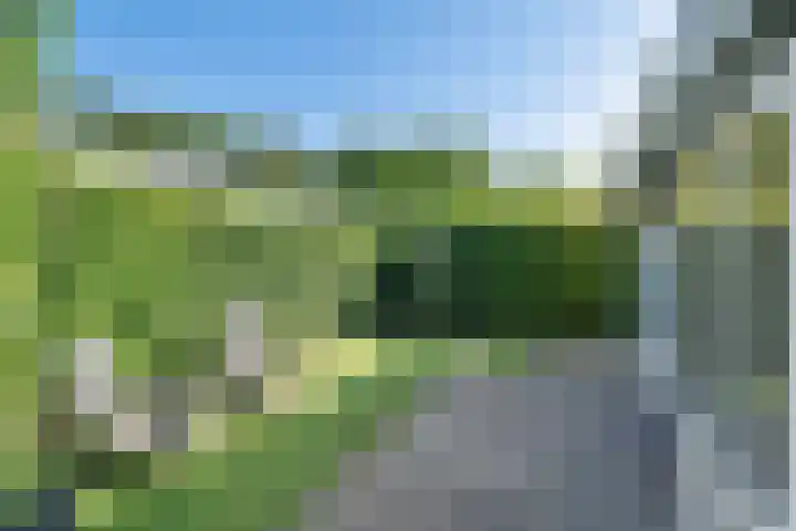 Kapelleboslaan 295 Noordwijk thumbnail 9