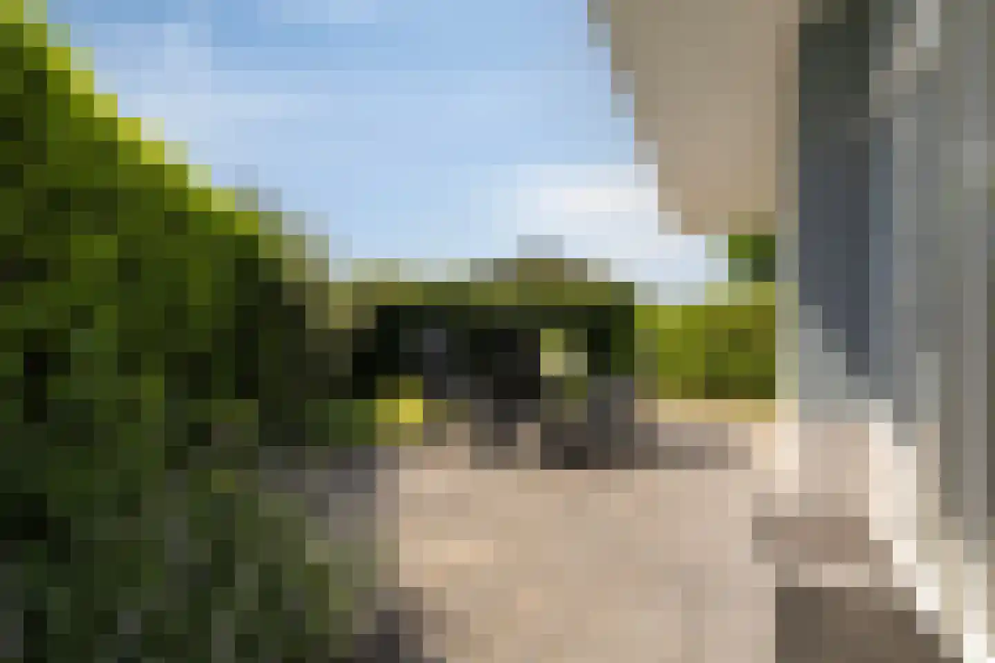 Kapelleboslaan 341 Noordwijk thumbnail 26