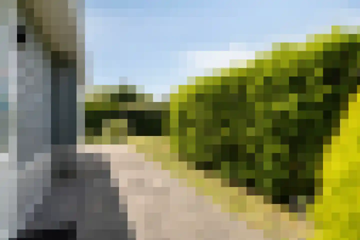 Kapelleboslaan 341 Noordwijk thumbnail 29