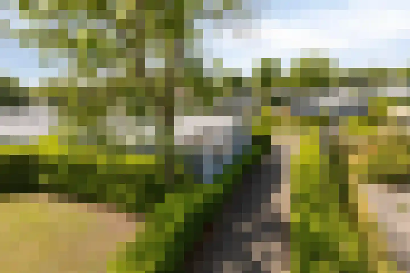 Kapelleboslaan 341 Noordwijk thumbnail 30