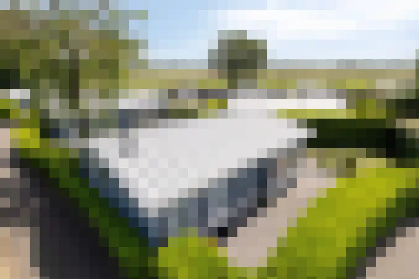 Kapelleboslaan 341 Noordwijk thumbnail 31