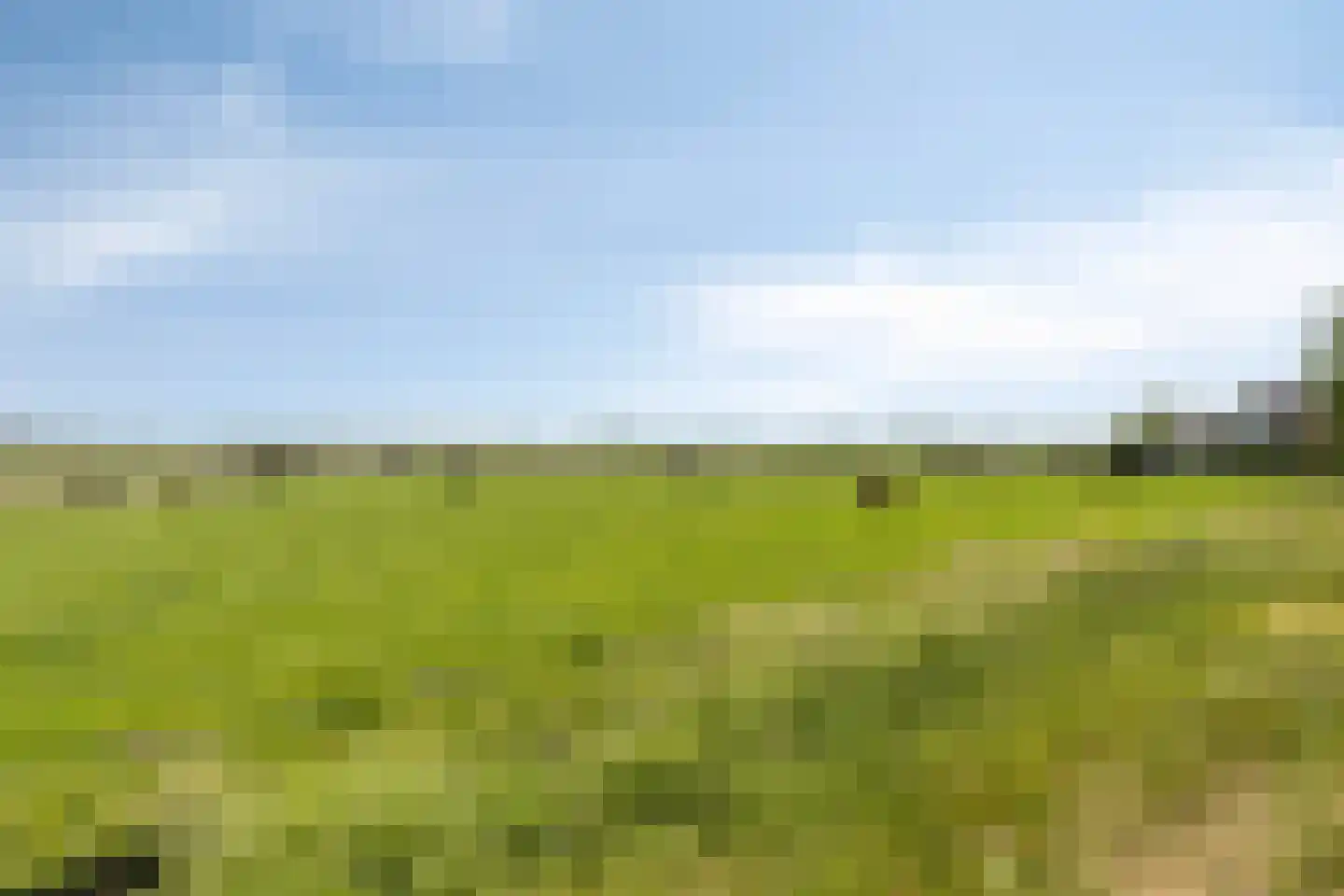 Kapelleboslaan 341 Noordwijk thumbnail 33