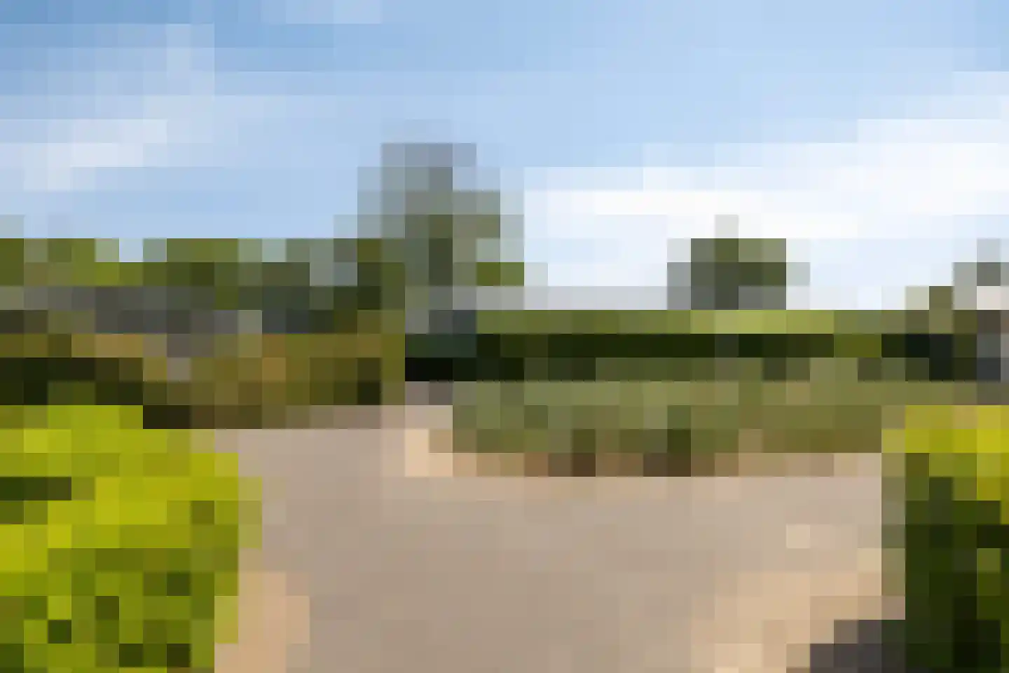 Kapelleboslaan 341 Noordwijk thumbnail 6