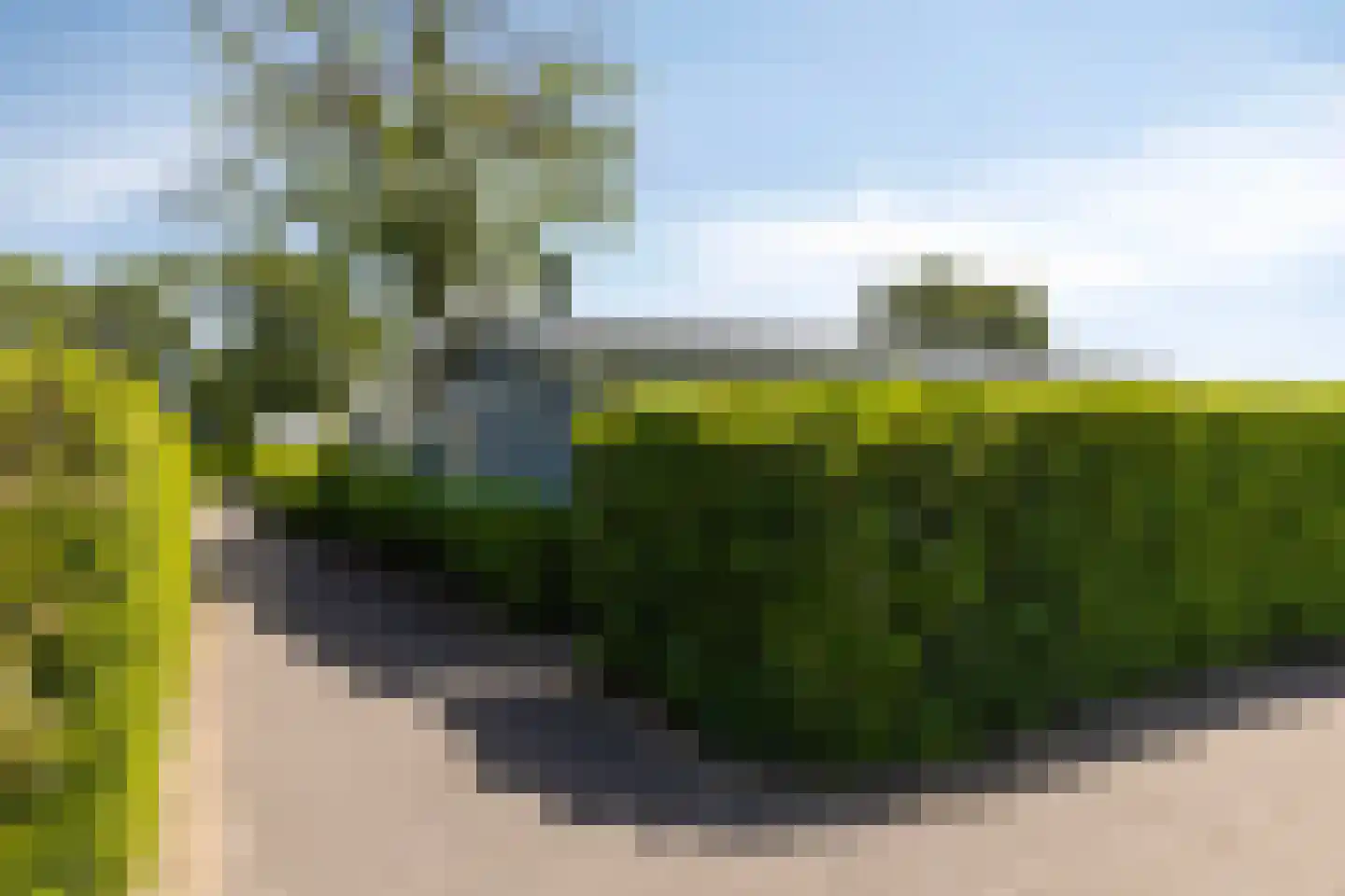 Kapelleboslaan 341 Noordwijk thumbnail 8