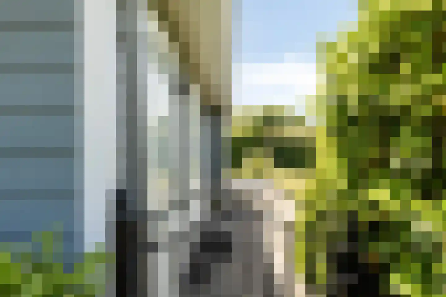 Kapelleboslaan 341 Noordwijk thumbnail 9