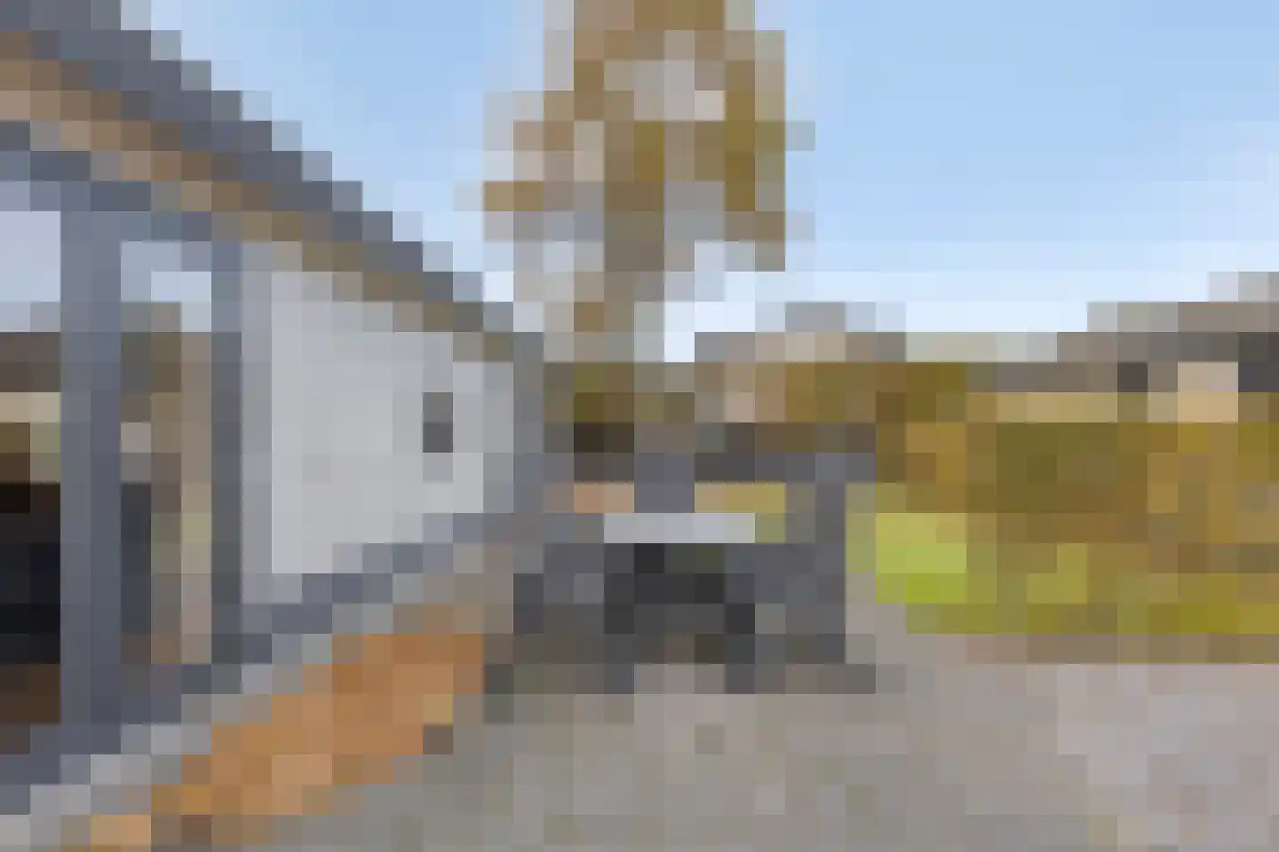 Kapelleboslaan 369 Noordwijk thumbnail 14