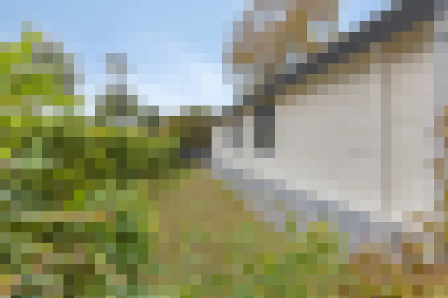 Kapelleboslaan 369 Noordwijk thumbnail 16