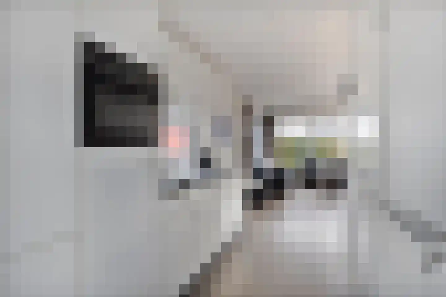 Kapelleboslaan 369 Noordwijk thumbnail 4