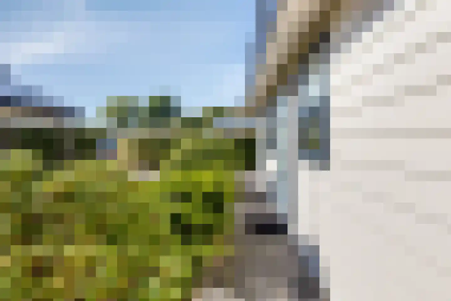 Kapelleboslaan 377 Noordwijk thumbnail 16