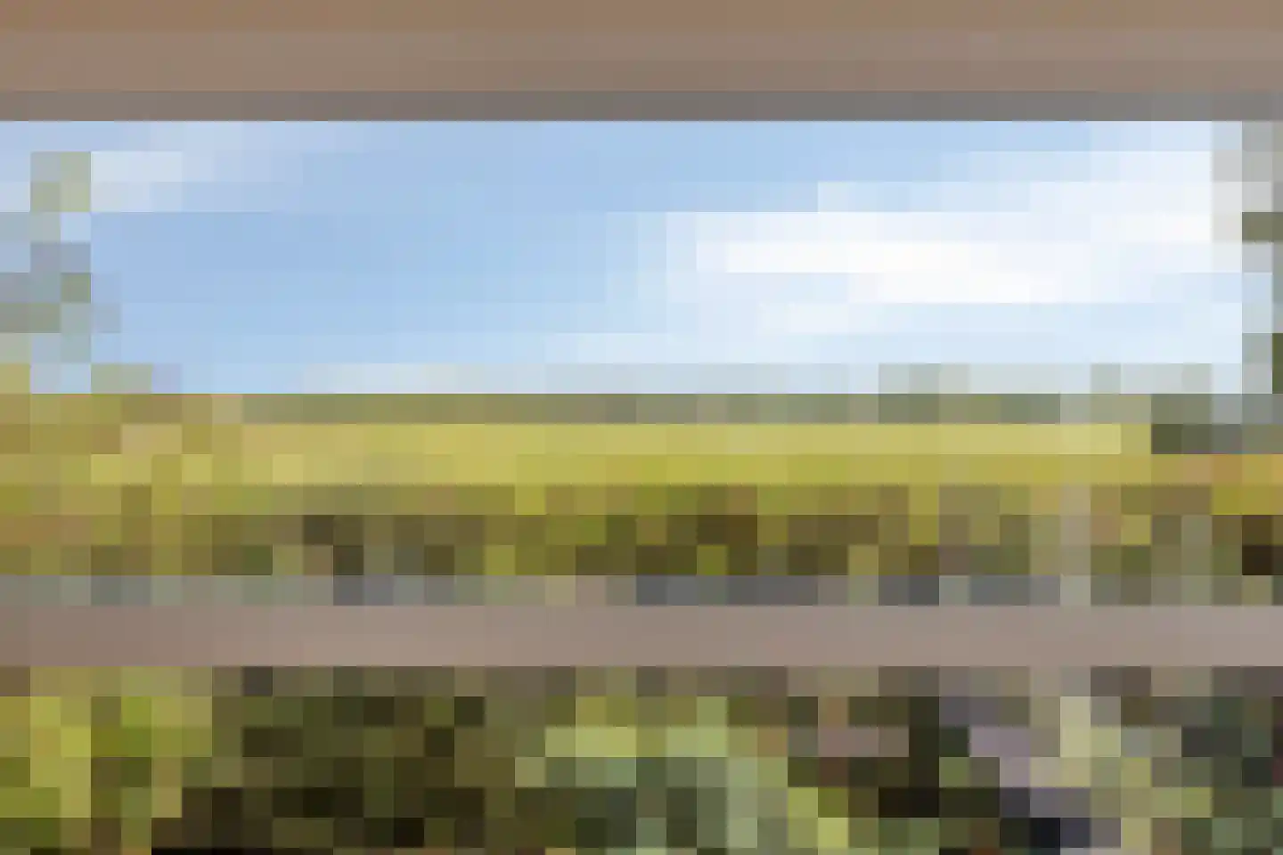 Kapelleboslaan 377 Noordwijk thumbnail 33