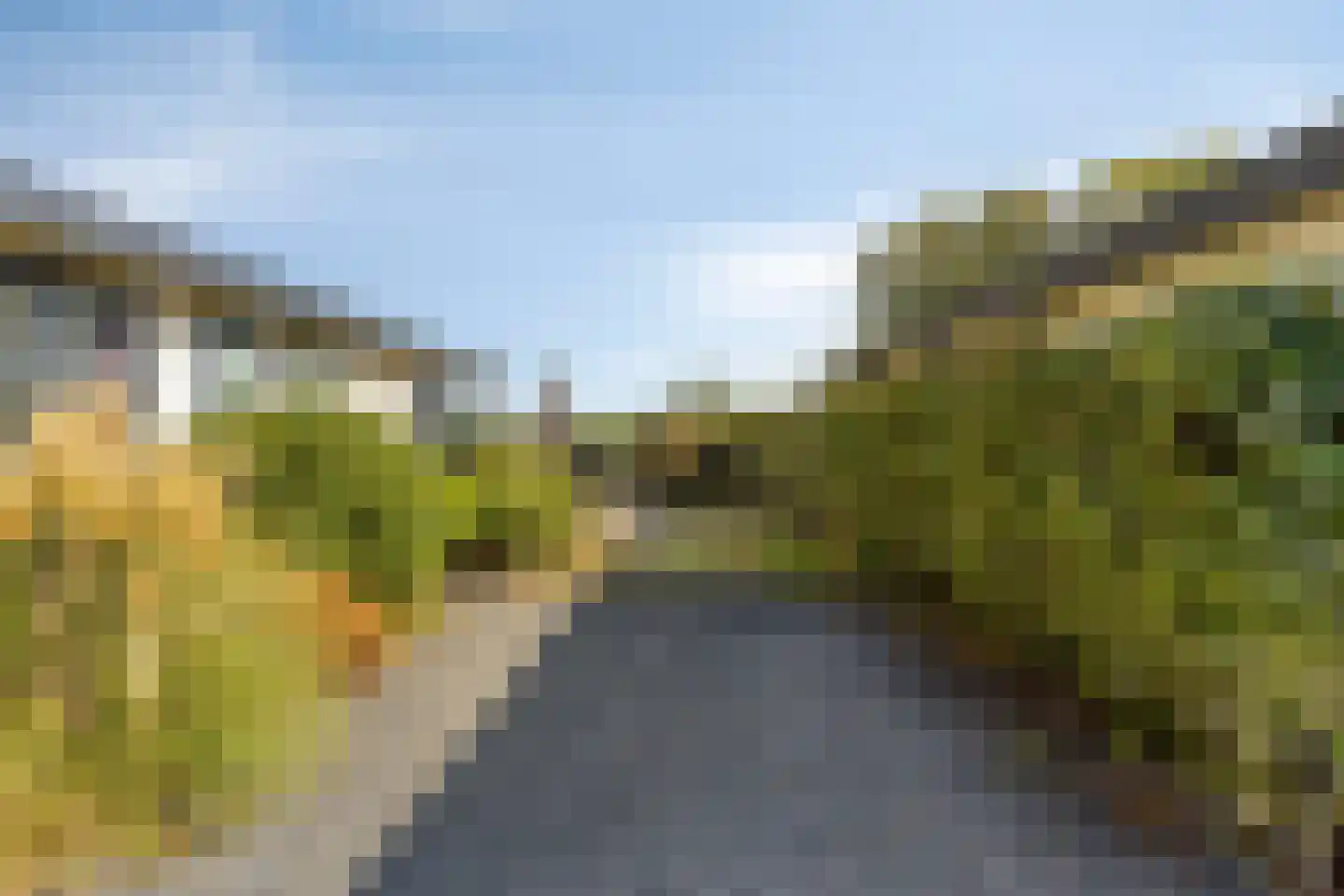 Kapelleboslaan 377 Noordwijk thumbnail 37