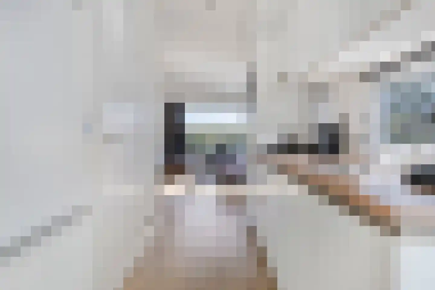 Kapelleboslaan 377 Noordwijk thumbnail 7