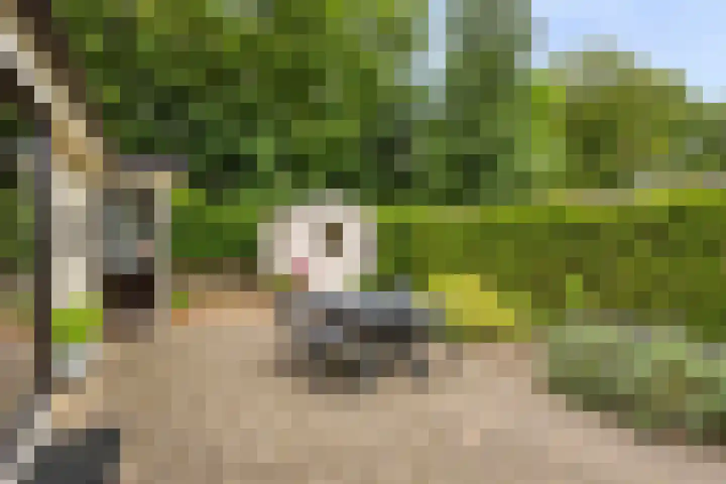 Kapelleboslaan 91 Noordwijk thumbnail 19
