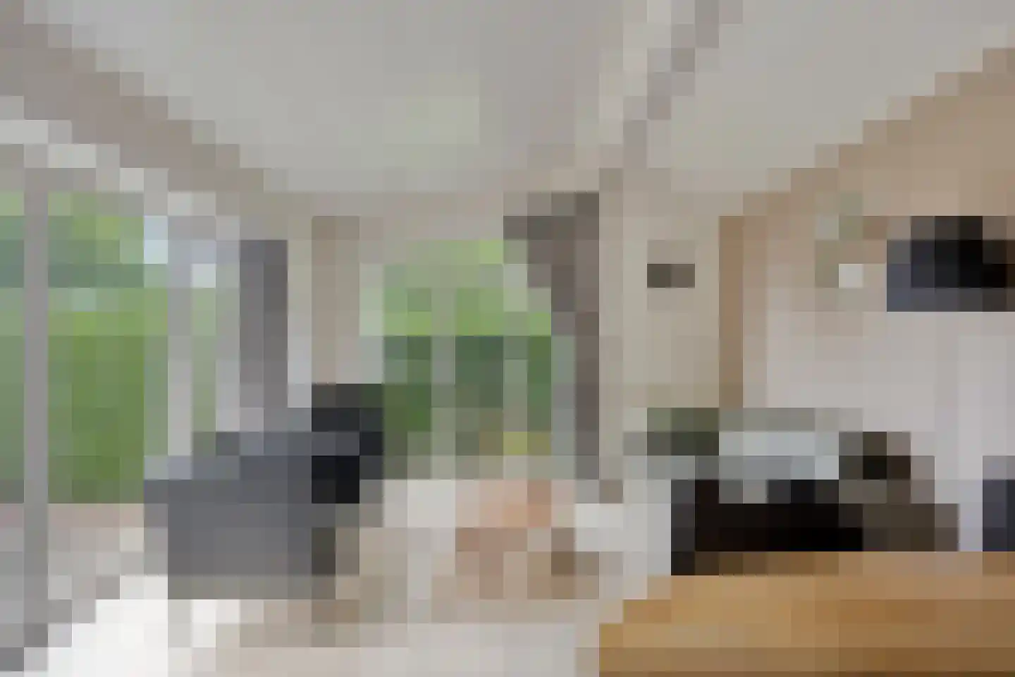 Kapelleboslaan 91 Noordwijk thumbnail 8