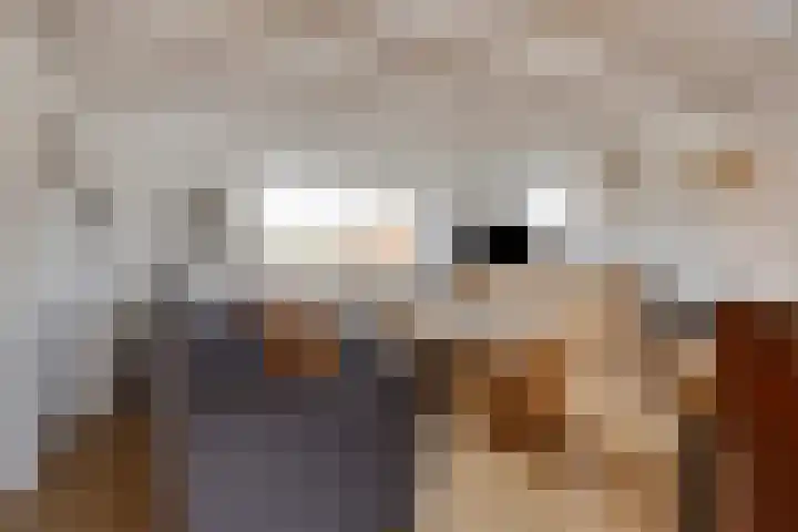 Kapelledreef 24 Clinge thumbnail 10