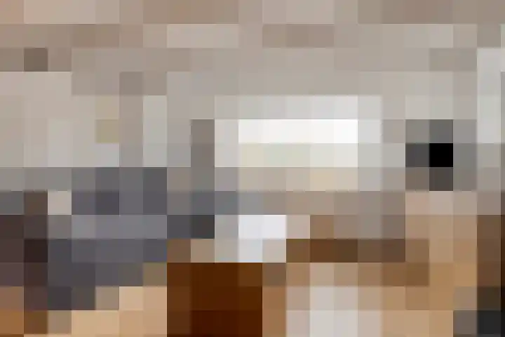 Kapelledreef 24 Clinge thumbnail 11