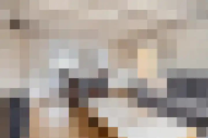 Kapelledreef 24 Clinge thumbnail 12