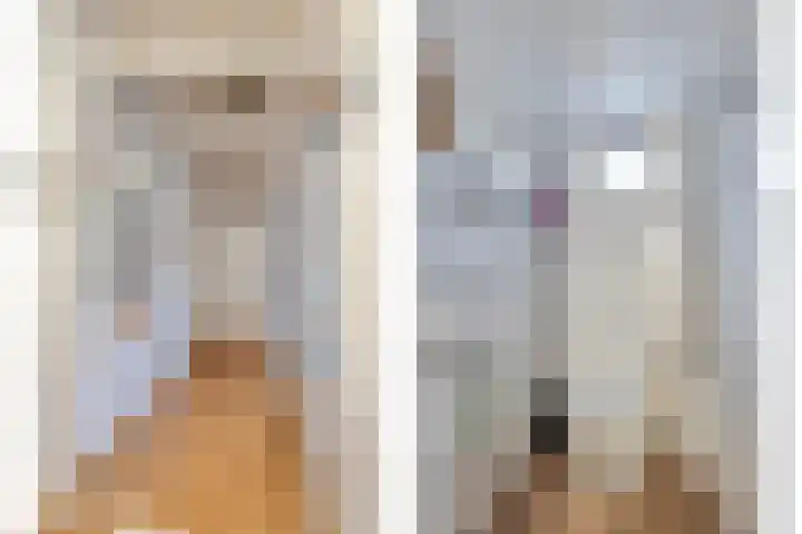 Kapelledreef 24 Clinge thumbnail 15