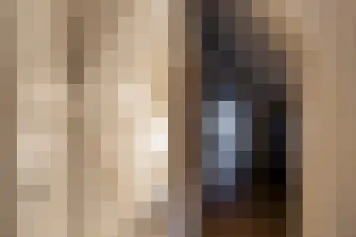 Kapelledreef 24 Clinge thumbnail 20