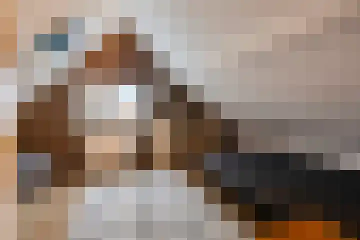Kapelledreef 24 Clinge thumbnail 21