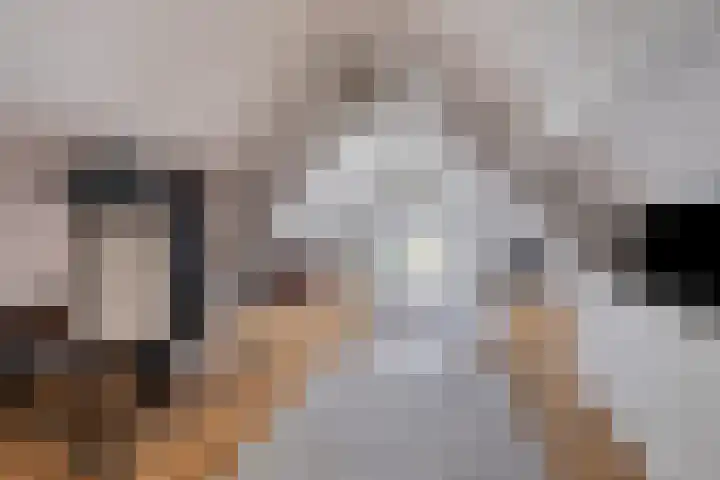 Kapelledreef 24 Clinge thumbnail 22