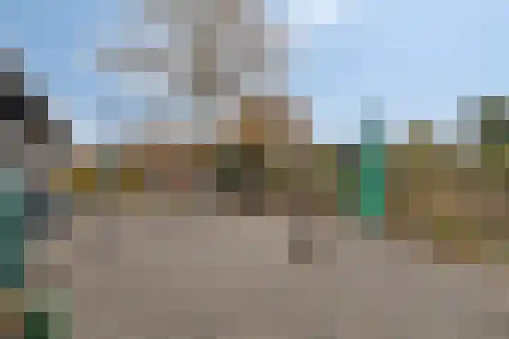 Kapelledreef 24 Clinge thumbnail 24