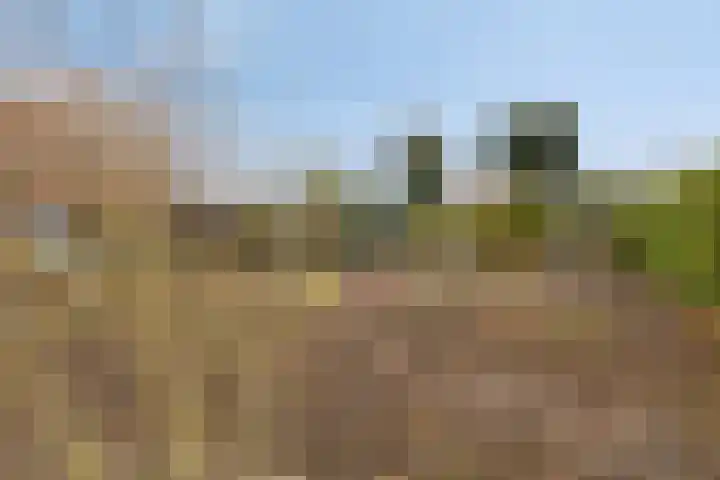 Kapelledreef 24 Clinge thumbnail 25