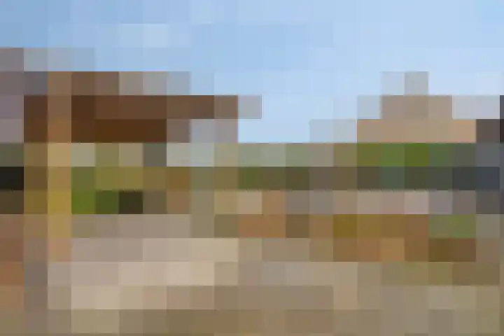 Kapelledreef 24 Clinge thumbnail 26