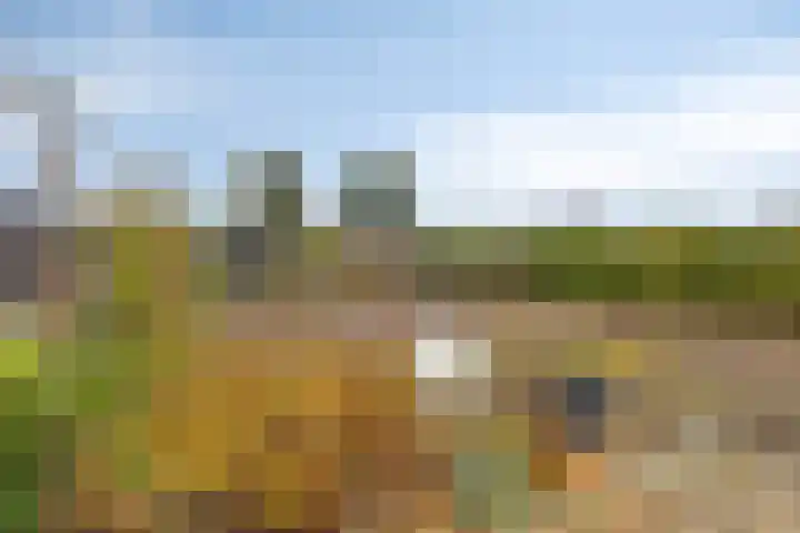Kapelledreef 24 Clinge thumbnail 27