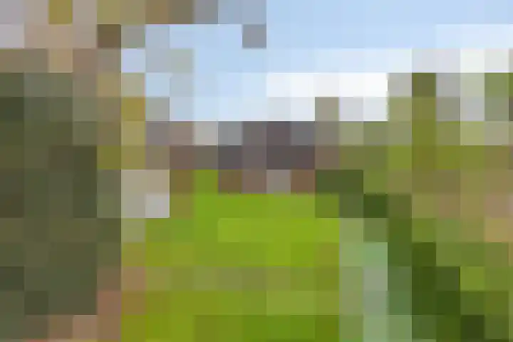Kapelledreef 24 Clinge thumbnail 28