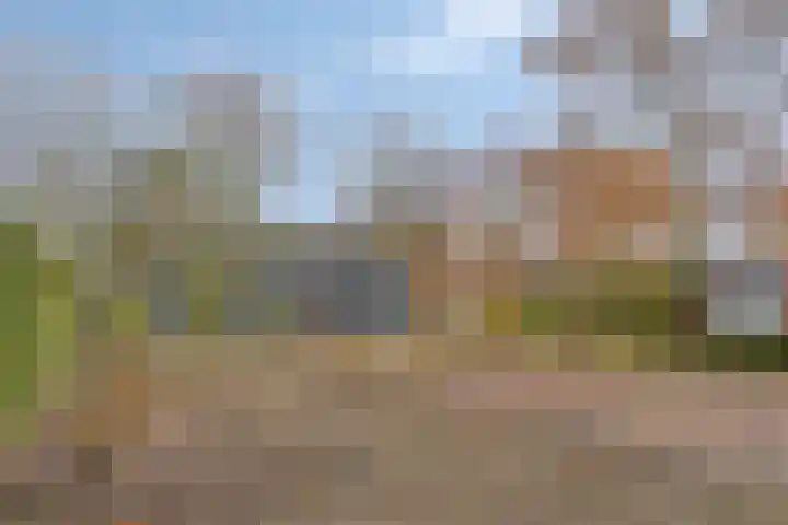 Kapelledreef 24 Clinge thumbnail 30